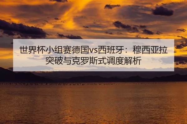 shi-jie-bei-xiao-zu-sai-de-guo-xi-ban-ya-mu-xi-ya-la-tu-po-yu-ke-luo-si-shi-diao-du-jie-xi-3-979.jpg