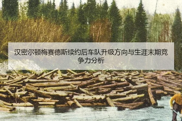 han-mi-er-dun-mei-sai-de-si-xu-yue-hou-che-dui-sheng-ji-fang-xiang-yu-sheng-ya-mo-qi-jing-zheng-li-fen-xi-3-672.jpg
